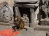 Swayambhunath Monkey temple