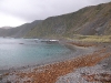 Wellington coastline